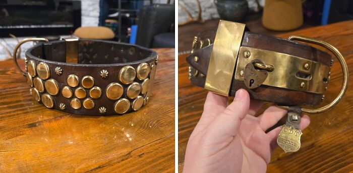 Two views of a remarkable antique studded leather dog collar with brass hardware and a lock, a special find.
