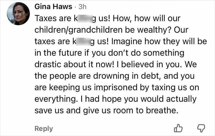 A Facebook comment by Gina Haws complaining about high taxes, showcasing hypocrisy in economic policy.