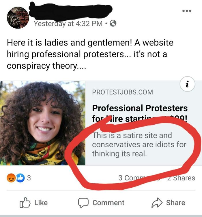 A social media post promoting a satirical website about professional protesters, reflecting unhinged people's thoughts.
