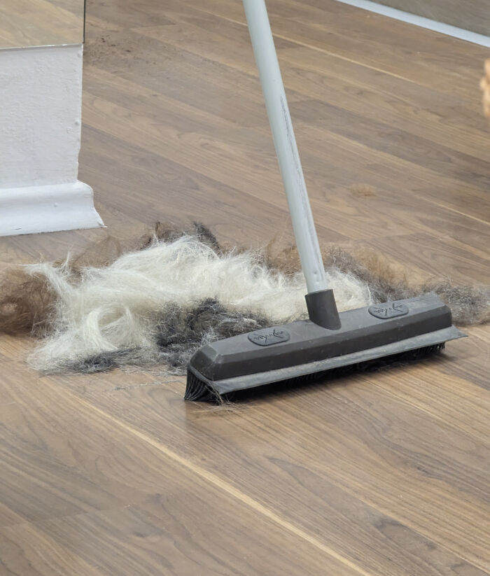 A broom sweeps up a large pile of hair and dust on a wooden floor, illustrating online lies.