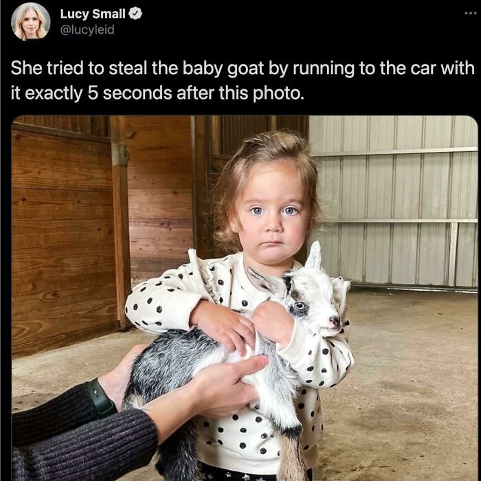 A hilarious toddler holding a baby goat, caught right before attempting to steal the animal.