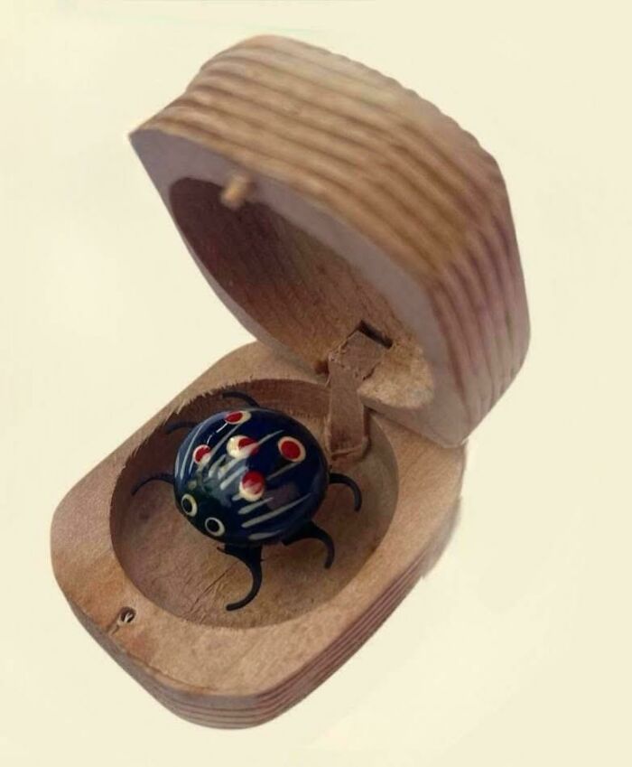 A small, black, spotted beetle toy inside an open wooden box, evoking nostalgic Aussie memories from childhood.