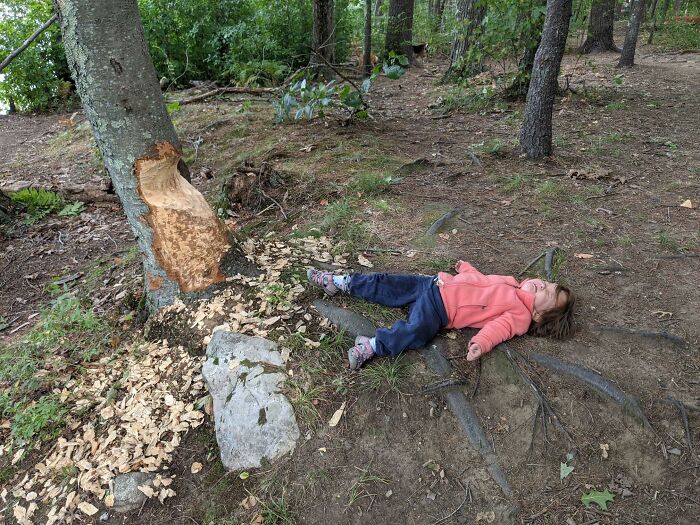 A mischievous kid lying on the ground next to a tree with a large section of bark removed, making parents laugh.
