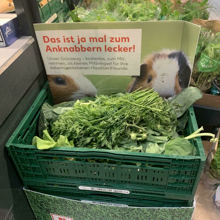 A box of fresh green vegetables and a sign with guinea pigs, offering free produce for pets, a practical product design for pet owners.