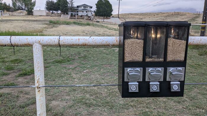 A gumball-style dispenser attached to a fence, filled with animal feed, showcasing practical product design.