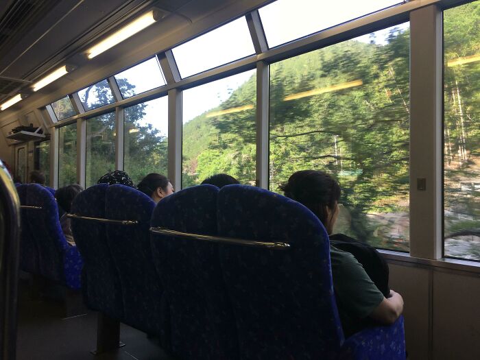 Interior shot of a train with large windows revealing lush green trees, showcasing practical product designs for scenic travel.