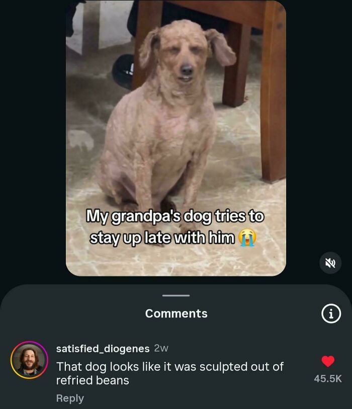 An unhinged image of a dog with wrinkled skin sitting on a tiled floor, appearing very old and tired.