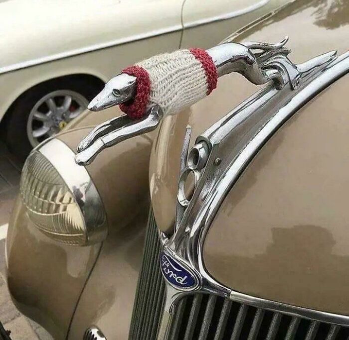 A knitted sweater on a car hood ornament of a dog, creating an unhinged image.