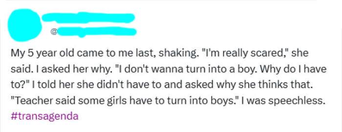 A social media post about embarrassing lies, where a parent recounts their child's fear of turning into a boy.