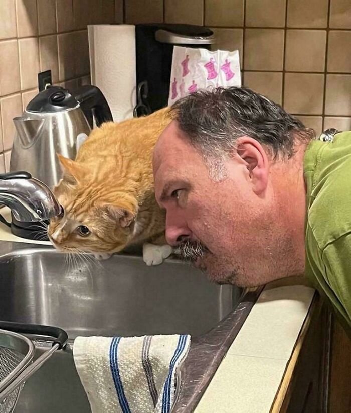 A man and an orange cat curiously look into a kitchen sink, an unhinged image.