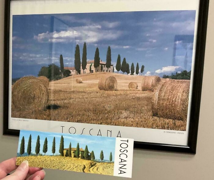 A hand holding a postcard of a Tuscan landscape that amazingly synced just right with a framed poster of the same scene.