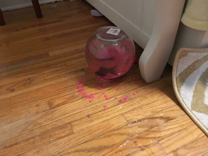 A fishbowl with a fish and pink gravel, where the spilled pink gravel and water amazingly sync the mess just right.