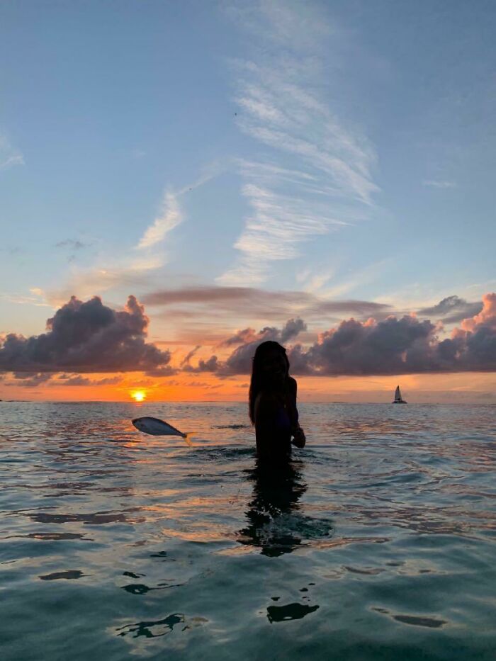 A swimmer with a fish perfectly synced with the sunset, creating an amazing sync just right over the ocean.