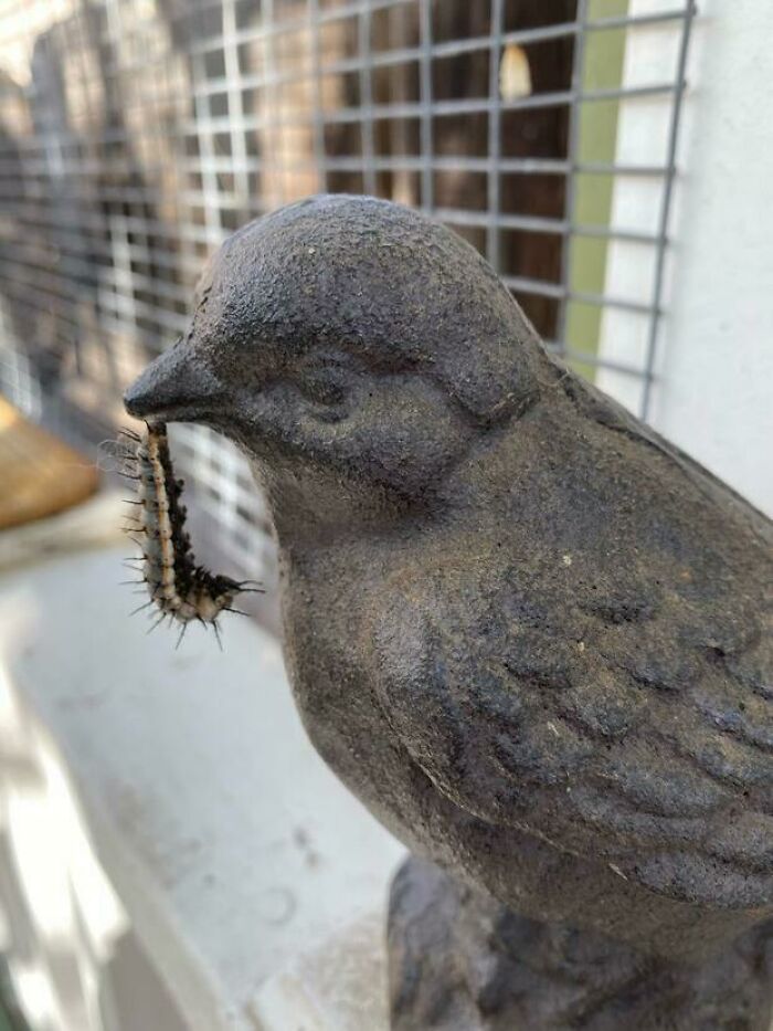 A bird statue holding a caterpillar, perfectly synced with nature, an amazing sync just right.