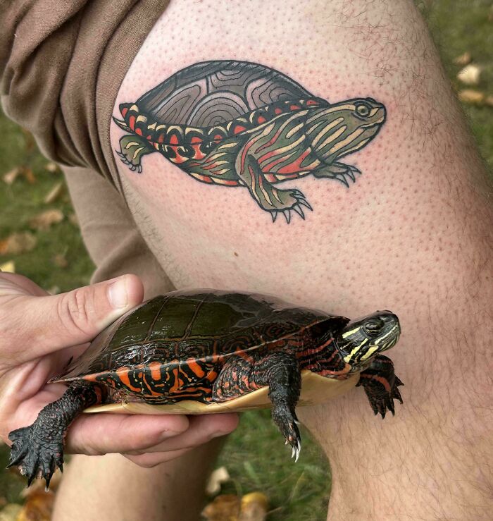 A turtle perfectly synced with a turtle tattoo on a person's leg, an amazing sync just right.