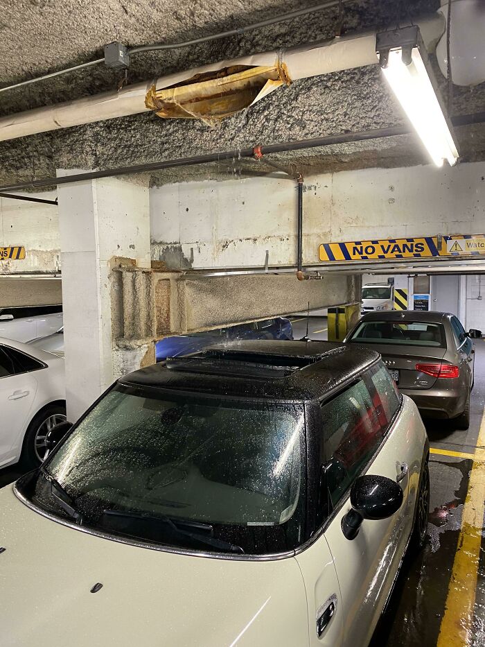 Water from a damaged pipe leaking onto a car sunroof, a moment synced just right with the open roof.