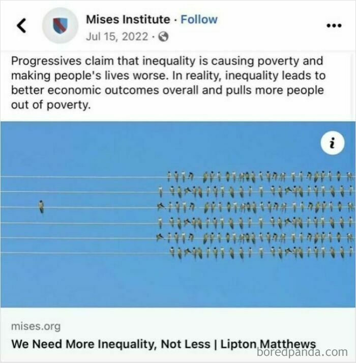 A social media post from Mises Institute, discussing inequality and poverty, showing many birds on power lines with one bird separate. Unhinged thoughts about economic theories.