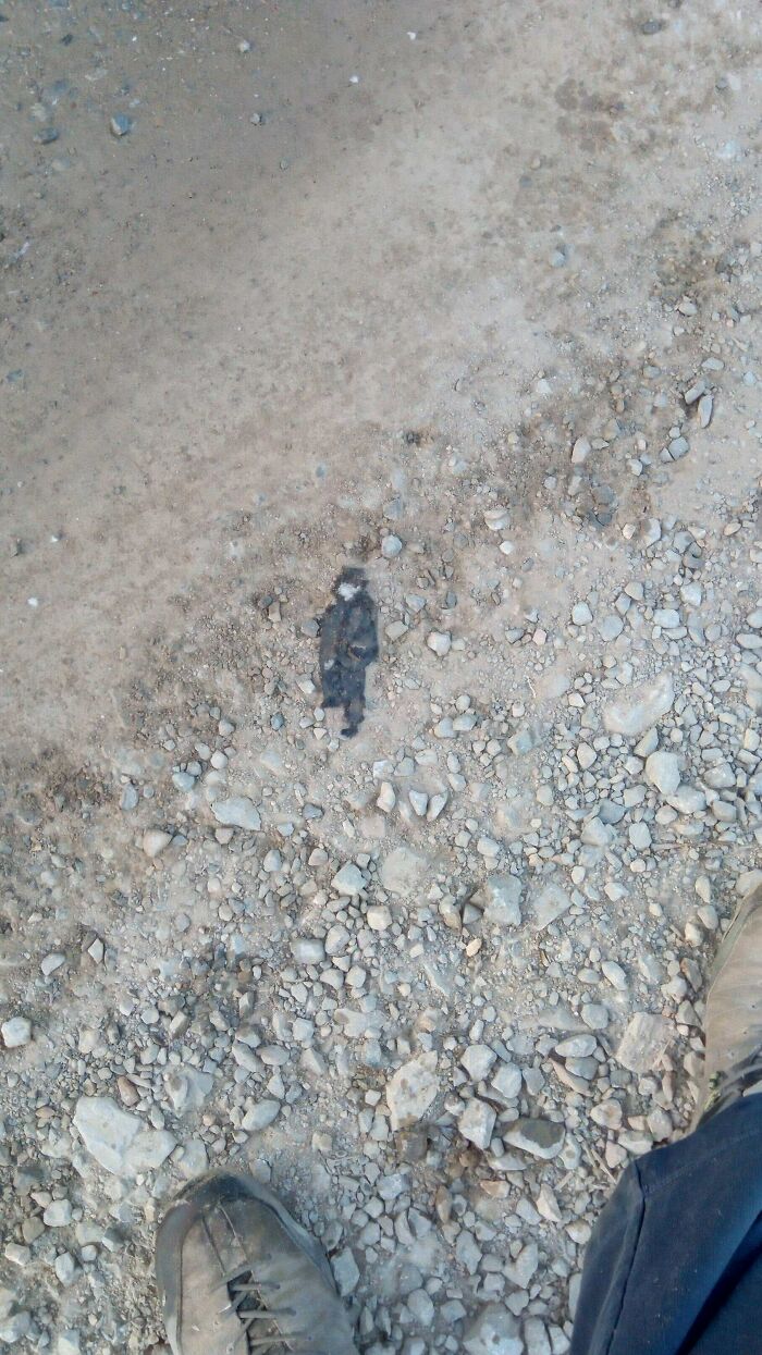 A person's feet on a gravel path, with a dark object on the ground that synced just right.
