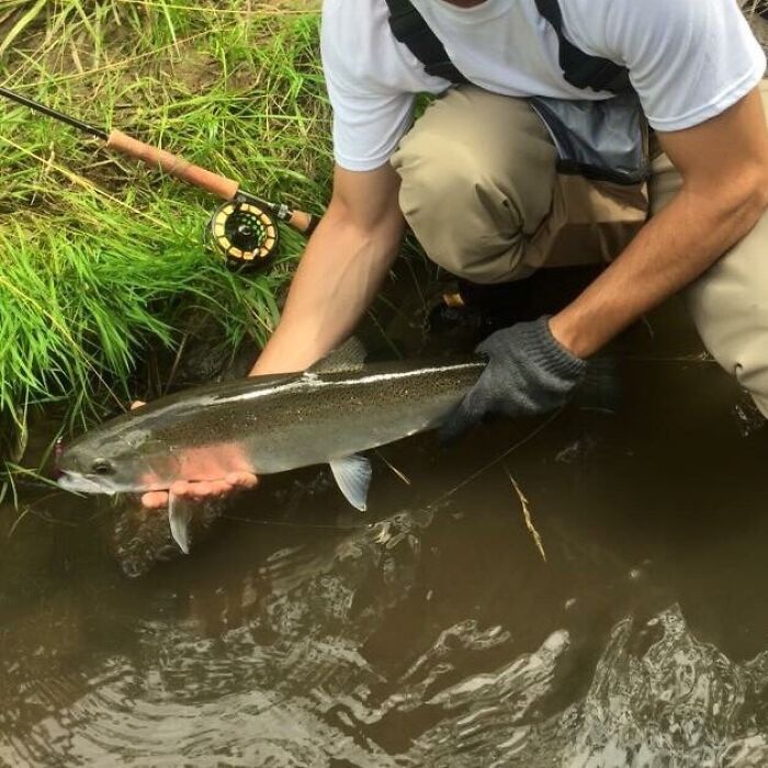 An unhinged image of a person holding a large fish over muddy water, with a fishing rod nearby.