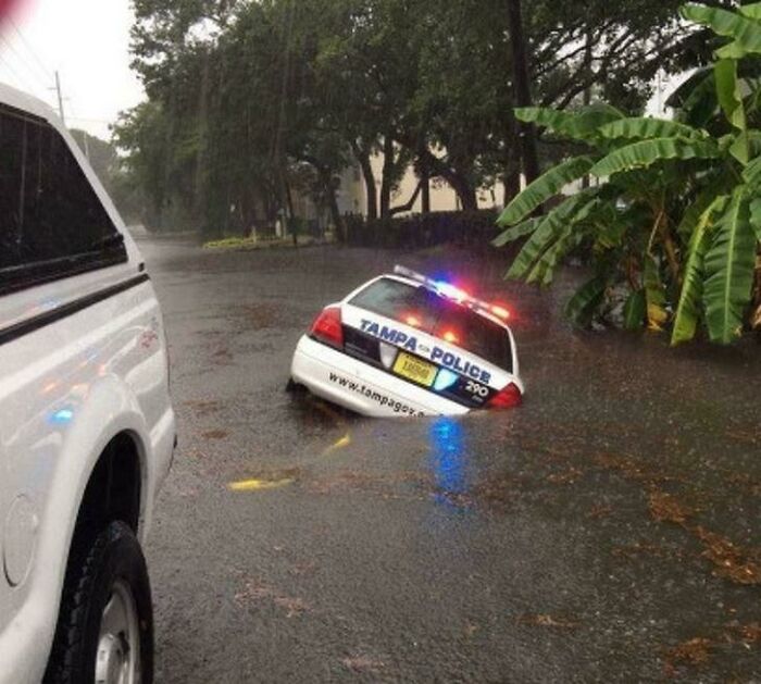 A Tampa police car partially submerged in floodwater, creating an unhinged image.