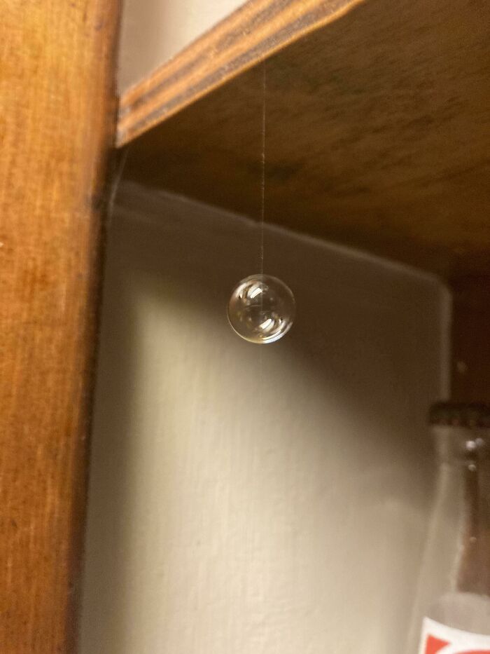 A small, clear bubble perfectly synced and suspended on a thin thread, an amazing time something synced just right.