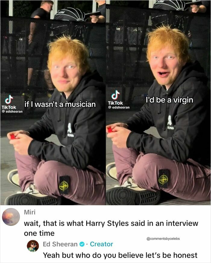 Ed Sheeran with a caption about being a musician and a virgin, receiving a celebrity comment that makes the post better.