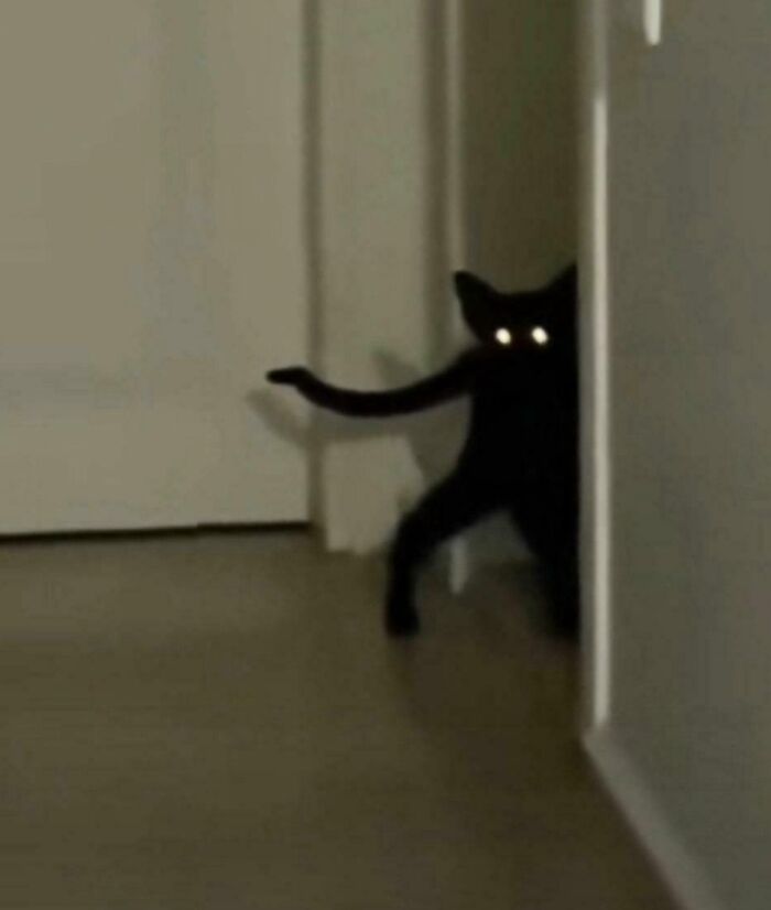 An unhinged image of a black cat with glowing eyes peeking around a doorframe, looking like a cartoon character.