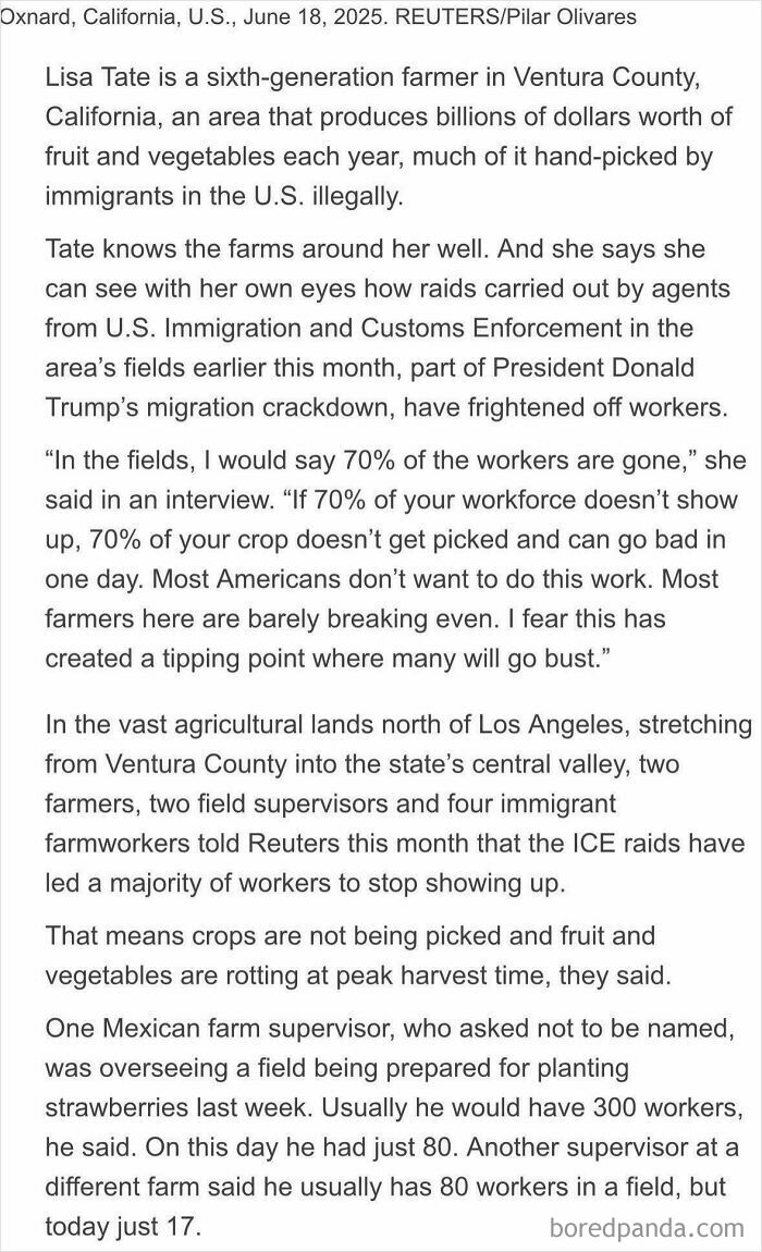 A news article detailing the challenges faced by Ventura County farmers due to a migrant worker shortage, impacting the American dream.