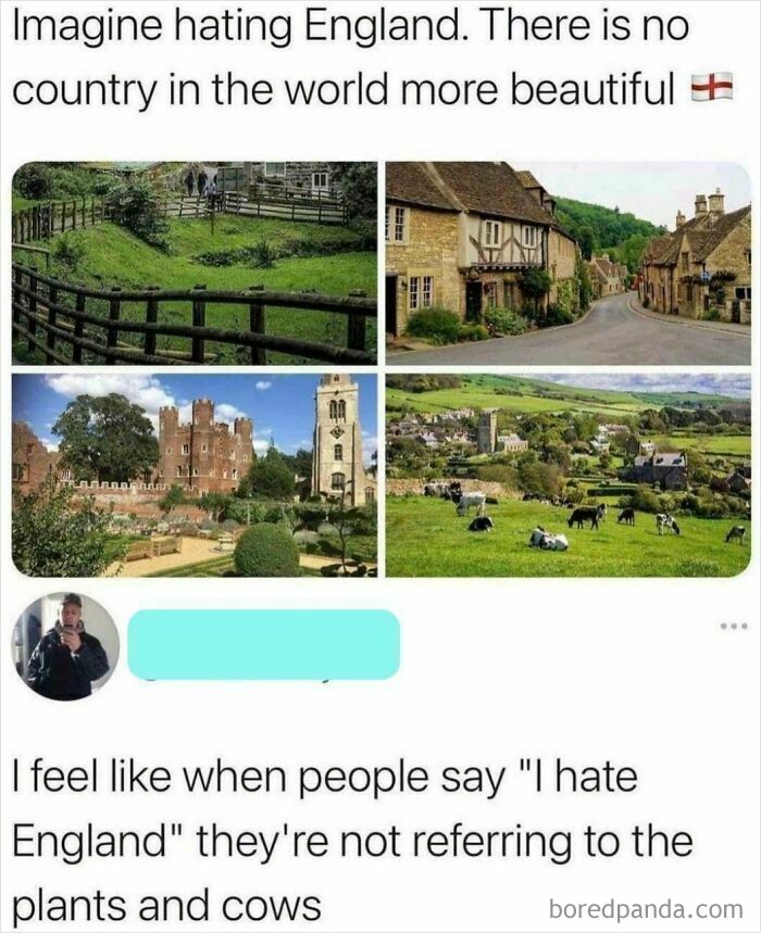 A collage of beautiful English landscapes, contrasting with a ridiculous fail comment about hating England.