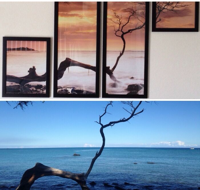 A real beach scene aligning perfectly with framed art of a similar beach, amazing syncing.