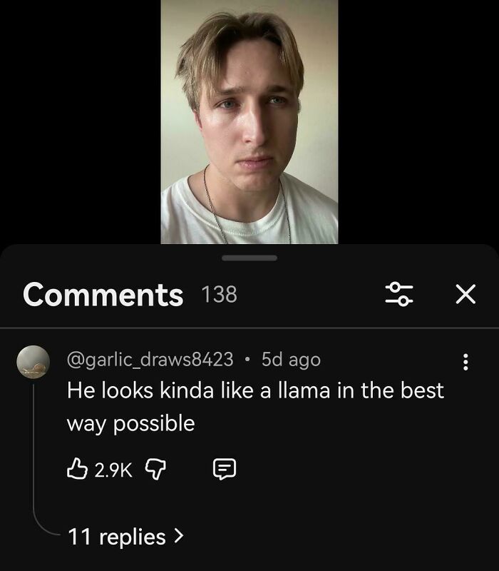 A funny comment comparing a man's face to a llama. The comment section is funnier than the post.