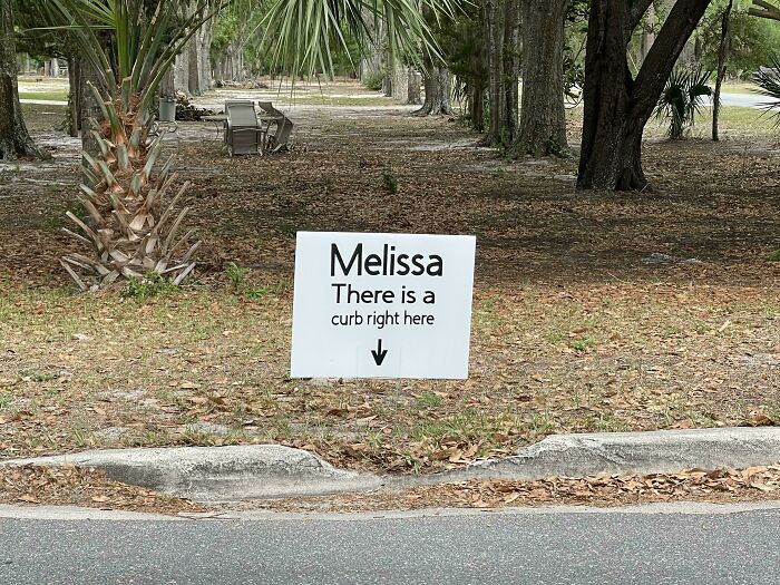 A funny chaotic sign spotted in the wild for Melissa, warning about a curb.