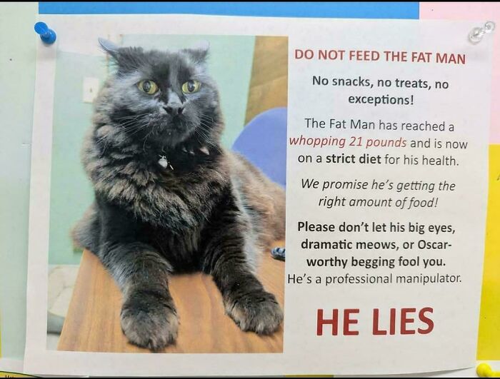 A chaotic sign spotted in the wild warning people not to feed a 21-pound cat on a strict diet.
