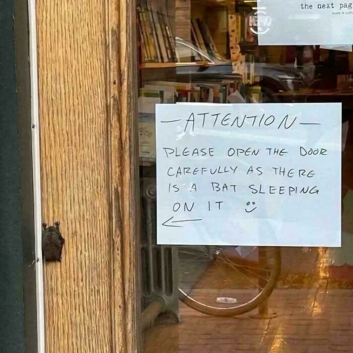A chaotic sign on a door reads Attention: Please open carefully as there is a bat sleeping on it, a sign in the wild.