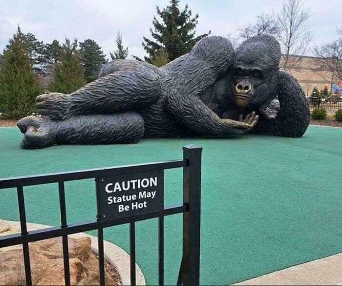 A chaotic sign warns Statute May Be Hot next to a reclining gorilla statue, a sign spotted in the wild.