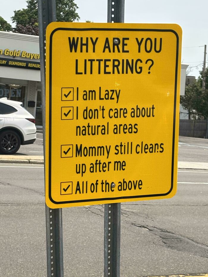 A chaotic sign in the wild asking Why are you littering? with options like I am Lazy and All of the above.