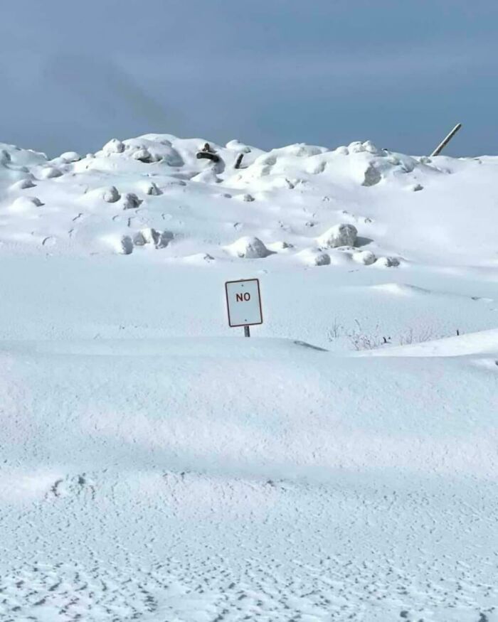 A small sign with the word NO surrounded by snow, a chaotic sign spotted in the wild.