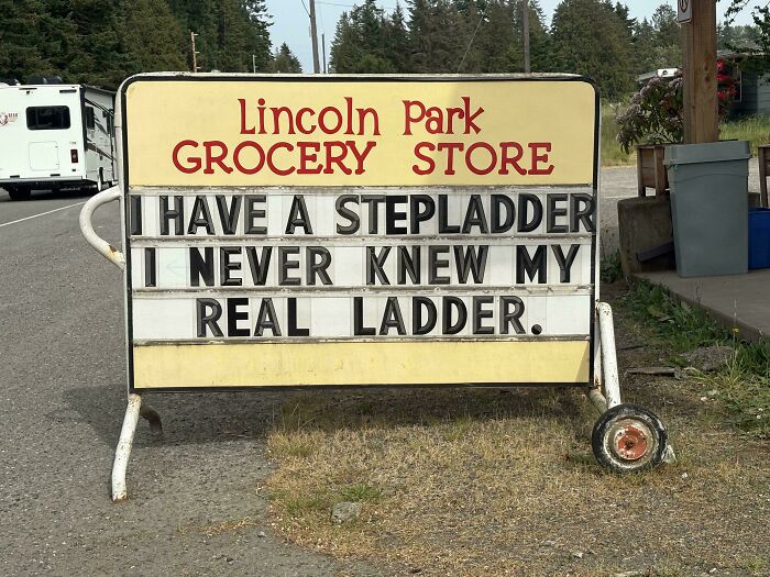 A chaotic sign spotted in the wild at Lincoln Park Grocery Store reads, I have a stepladder, I never knew my real ladder.