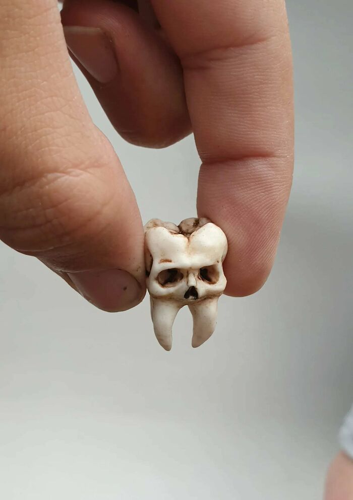 A person holding a small, intricate tooth-shaped skull, demonstrating how people 3D printed items.