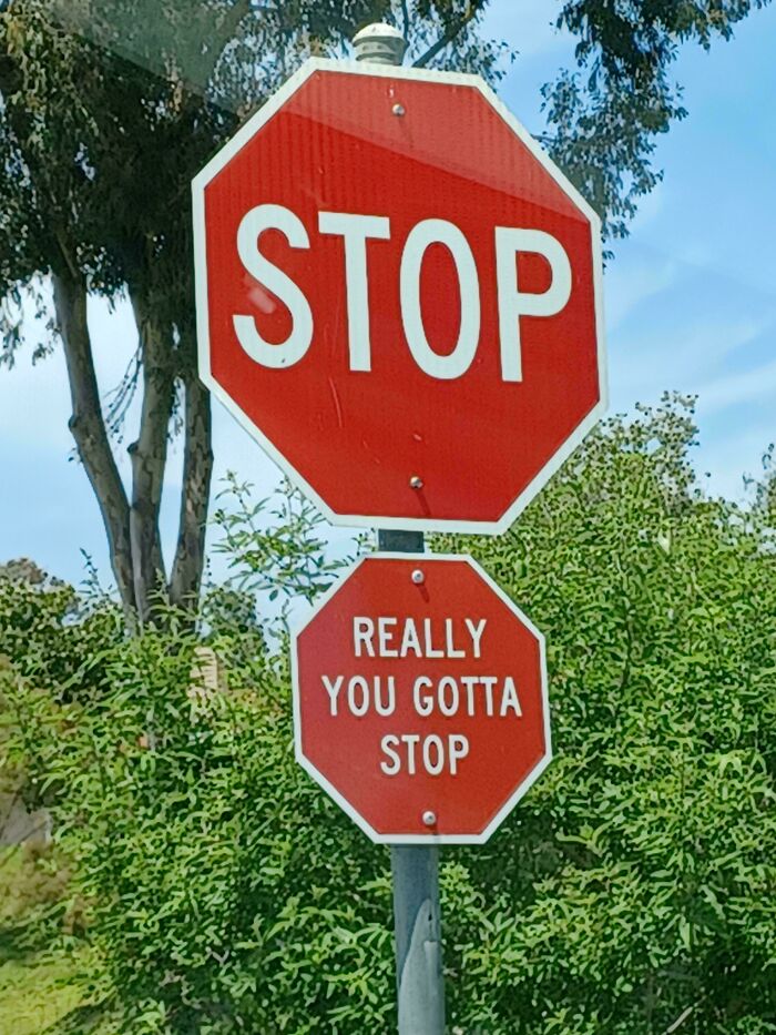 A chaotic sign in the wild with two stop signs, one saying REALLY YOU GOTTA STOP, making people question reality.