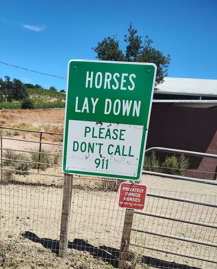A chaotic sign spotted in the wild reads Horses Lay Down, Please Don't Call 911.