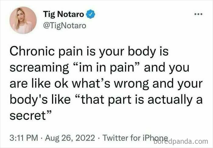 A funny meme from a tweet by Tig Notaro about chronic pain being a secret.