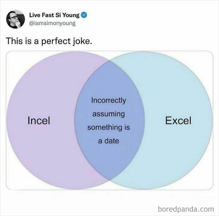 A funny meme Venn diagram showing the overlap between Incel and Excel: incorrectly assuming something is a date. Unhinged humor.