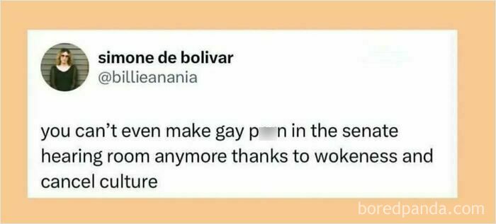 A funny meme showing a tweet from simone de bolivar @billieanania about gay p*** in the senate.