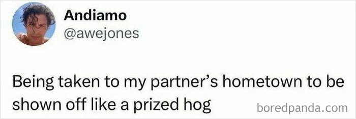 A tweet from Andiamo (awejones) about being shown off like a prized hog, an example of funny memes and unhinged humor.