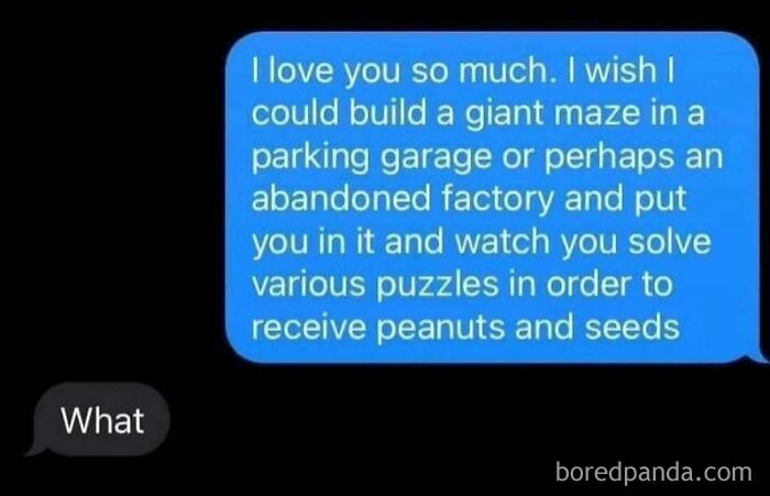 A screenshot of a funny, unhinged text message describing building a maze for someone to solve puzzles for peanuts, followed by a 'What' reply.