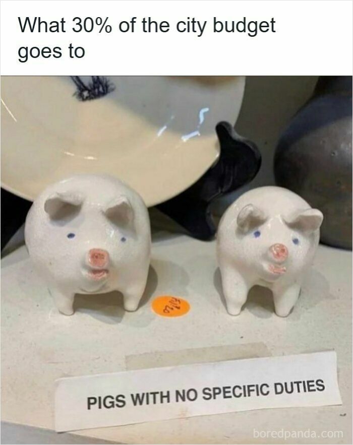 A funny meme showing two small ceramic pigs with a sign that reads, PIGS WITH NO SPECIFIC DUTIES.