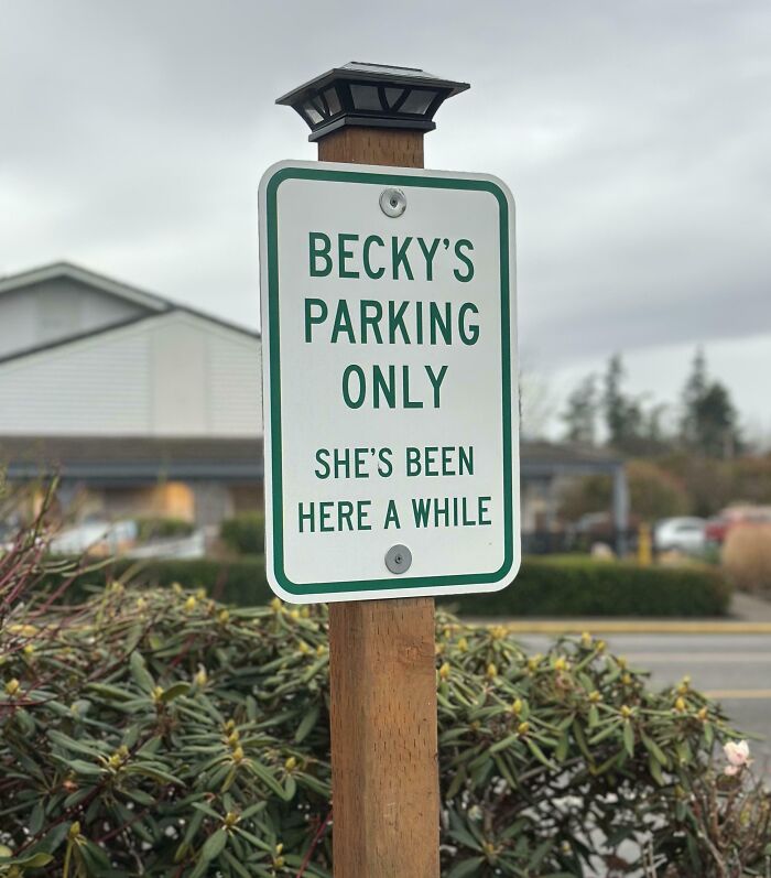 A chaotic sign in the wild for Becky's Parking Only, She's Been Here A While, on a post with a solar light.