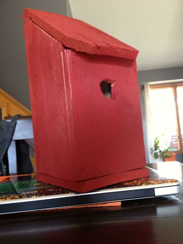 A crudely made red birdhouse, showcasing a DIY fail with uneven cuts and a poorly drilled hole.