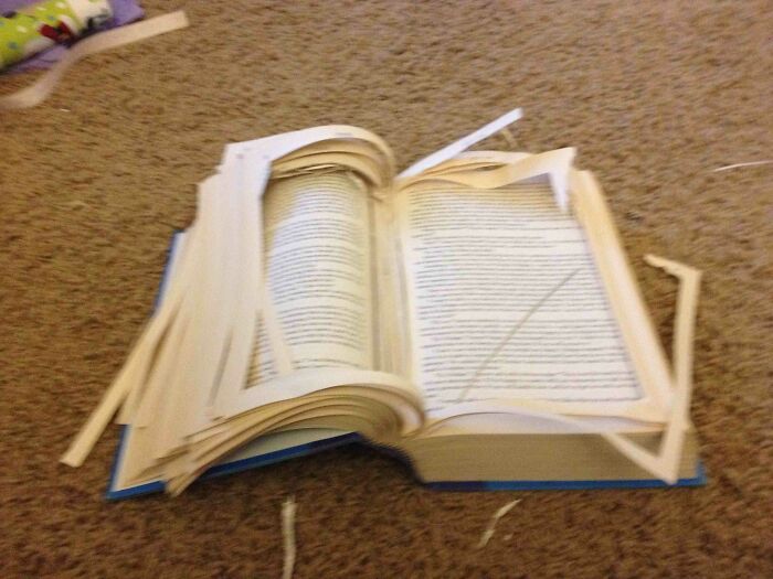 An open book with many pages cut and folded, a creative but destructive DIY fail.